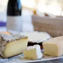 Сыроварня в Самарской области производит более 40 видов сыра