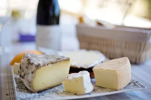 Сыроварня в Самарской области производит более 40 видов сыра 