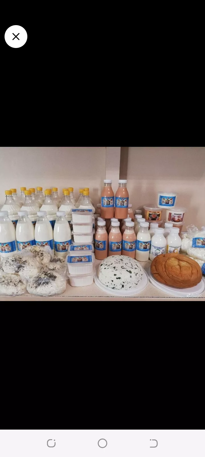 фотография продукта  молоко и молочные продукты 